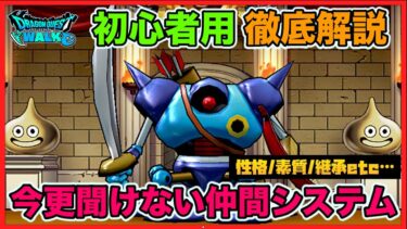 【ドラクエウォーク】初心者/復帰勢必見‼︎今更聞けない”仲間モンスター”徹底解説