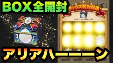 【ドラクエウォーク】アリアハンの心珠はSが出るだけで奇跡です