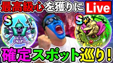 【ドラクエウォーク】ソードイド＆覚醒バラモスを目指してお外で冒険配信