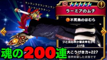 ラーミアムチ魂の２００連目にて魔界への突入が決まりました【ドラクエウォーク】【ドラゴンクエストウォーク】