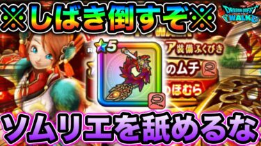 【ドラクエウォーク】私の大本命ガチャ武器１点狙い。ラーミアの鞭が好きすぎる女の末路。