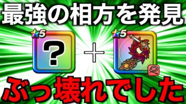 これは相性良すぎるwwヤバい進化を果たしてしまいました…【ドラクエウォーク】【ドラゴンクエストウォーク】
