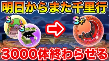 【ドラクエウォーク】今日で前半戦のミッションに決着をつけたい!! 3000体終わらせて週末を迎える!!【DQW】