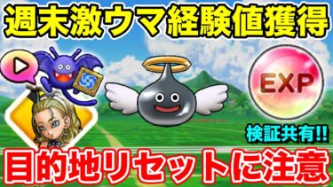 【ドラクエウォーク】激ウマの職業スポット開幕!! 目的地リセットに注意してください!!【DQW】