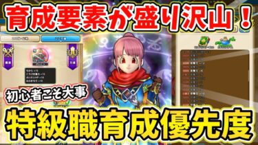 【ドラクエウォーク】特級職になれたらすぐに見て！育成で優先すべきことを徹底解説！！【DQW】