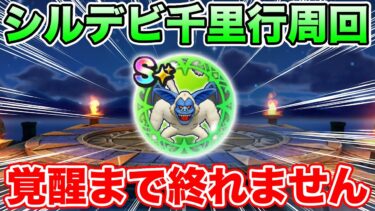 【ドラクエウォーク】超高難度に向けて!! シルバーデビル覚醒まで終われない生放送!!【DQW】