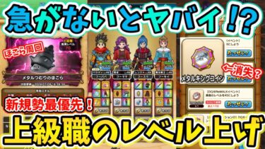 【ドラクエウォーク】メタルキングコインが消える前に！急いで上級職のレベル65を目指そう！！【DQW】