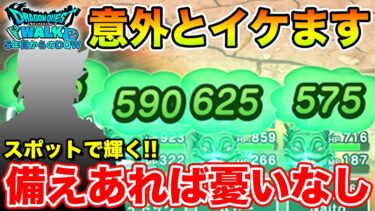 【ドラクエウォーク】今後の活躍に期待大!! 忘れてたアイツが意外と輝くかもしれません【DQW】