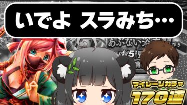 チケット貯まってたのでガチャ170連 スラみち召喚チャレンジは果たして【あぶない浴衣装備ふくびき「蜃気楼」・ゾーマ装備ふくびき「やみのころもの黒炎」・あぶない水着24装備ふくびき「サマーメモリー」】
