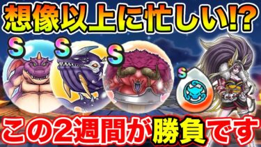 【ドラクエウォーク】想像以上に忙しい期間!! 8月はこの2週間が勝負です!!【DQW】