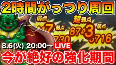 【ドラクエウォーク】久しぶりの純度100%がっつり周回時間!! 次回更新を妄想しながらレベリング!!【DQW】