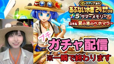 【DQW】元秋葉のメイド(20年前)セラフィガチャ引きます！【ガチャ】