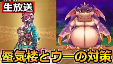 【ドラクエウォーク】蜃気楼の評価とドラゴンウーの対策！引く優先度を考えようか！【生放送】