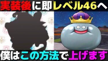 【ドラクエウォーク】新職が実装直後にどれくらいまでレベルが上げられるか調べてきた。