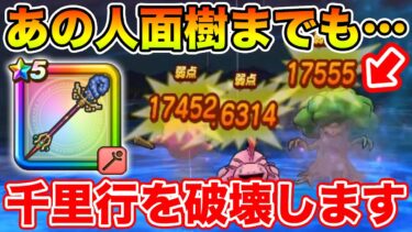 【ドラクエウォーク】人面樹ですら超簡単に!! あまぐもの杖が現行千里行を終わらせます【DQW】