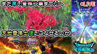 【ドラクエウォークLive】5周年魔王復活イベント第３章と新職業「天地雷鳴士」と巾着田の曼殊沙華まつり【ツイキャス同時配信】