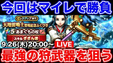 【ドラクエウォーク】あまぐもの杖はマイレのみで勝負!! 最強の狩武器を求めて!!【DQW】