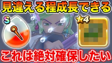【ドラクエウォーク】コレで最新周回地図をワンパンできるようになりました!! 取って良かった!!【DQW】