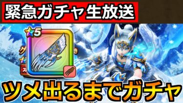 【ドラクエウォーク】グリザード装備ガチャを引く！グリザードの鋭牙が出るまで引きますか！！