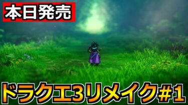 【ドラクエ3リメイク#1】ドラクエ3 2DHDを遊びまくる！ひたすら進めていくぞー！！！