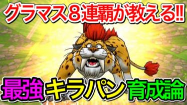 【ドラクエウォーク】○○キラパンが最強!!(モンスター育成論)