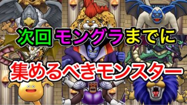 【ドラクエウォーク】グラマス8連覇が教える!!モングラ今後の環境!!(なかまモンスター)