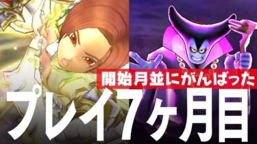 ドラクエウォーク プレイ開始7ヶ月 レベル、装備、こころ、ストーリー進行、課金額など DQウォーク