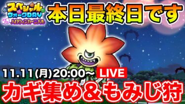 【ドラクエウォーク】スペシャルウォークDay最終日!! 皆様お疲れさまでした!!【DQW】