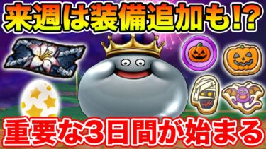 【ドラクエウォーク】来週は新装備追加!? 大事な3日間が始まります!!【DQW】