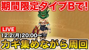 【ドラクエウォーク】初めてのタイプB周回!! ボーナスダンジョンのカギ集め!!【DQW】
