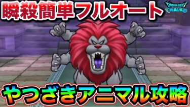 【ドラクエウォーク】やつざきアニマルフルオート。心は千里接待、超簡単に攻略できます。