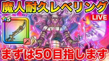 【ドラクエウォーク】魔人耐久レベリング!! 残りわずかな休日を嚙みしめて周回…【DQW】