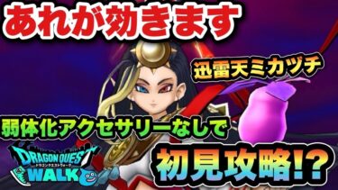 【ドラクエウォーク】必ずアクセサリーを入手してから挑戦して下さい！迅雷天ミカヅチを初見攻略！？
