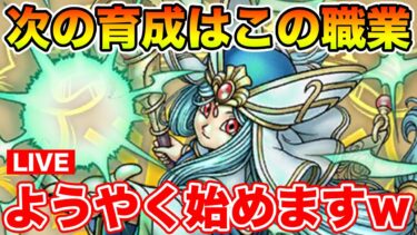 【ドラクエウォーク】ようやく本格的な大神官育成を始めます!!【DQW】