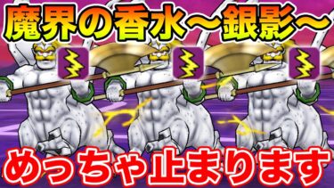 【ドラクエウォーク】シルバリヌス実装!! 超タフネス脳筋にはコレが刺さりました【DQW】