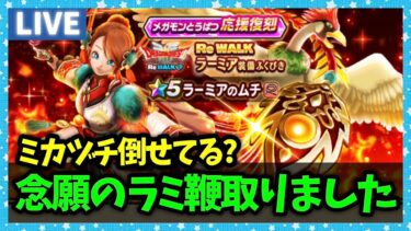【ドラクエウォーク】念願のラミ鞭をゲットしました…迅雷天ミカヅチは倒せてる？【雑談放送】