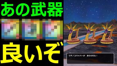 【ドラクエウォーク】ツチノコバイパー乱獲の為にあの武器を!?【ツチノコバイパー】