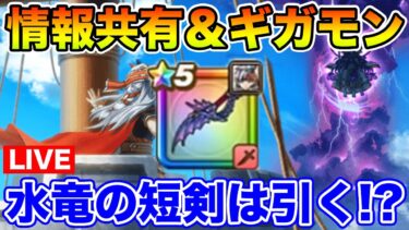 【ドラクエウォーク】次世代版短剣実装!! この武器は引くべき!? ギガモンもやっていくぞ!!【DQW】