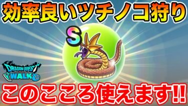 【ドラクエウォーク】ツチノコバイパーを逃がさない方法!! そしてこのこころ使えます!!【DQW】