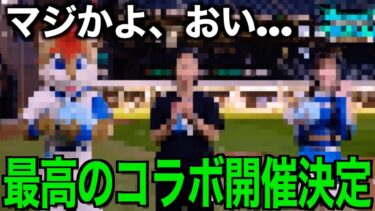 これはヤバい…衝撃の開催地と内容が発表されました【ドラクエウォーク】【ドラゴンクエストウォーク】