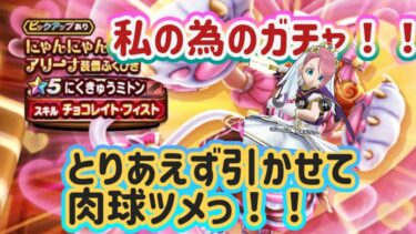 【ドラクエウォーク】【DQW】私が引かなきゃ誰が引く！にゃんにゃんこにゃんに〜なりたいガチャ！