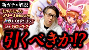 ハーフアニバ目前で！？これは今年の〇〇になる予感？？新ガチャ評価は…！？にゃんにゃんアリーナ装備「にくきゅうミトン(チョコレイト・フィスト)」は引くべきか【ドラクエウォーク】