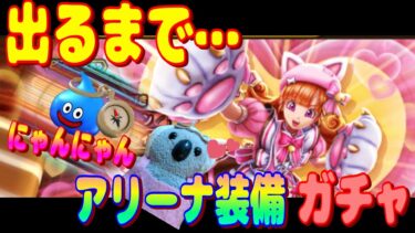 【ドラクエウォーク】にゃんにゃんアリーナ装備ガチャ