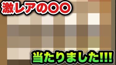 【ドラクエウォーク】レアアイテム当たった！