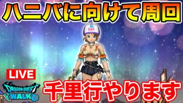 【ドラクエウォーク】ハニバに向けてまた今日から千里頑張ります!!【DQW】