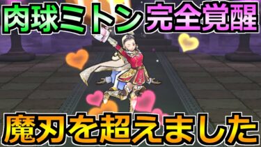 【ドラクエウォーク】にくきゅうミトンが完全無双へ！この効率だけなら魔刃・水竜超えへ！