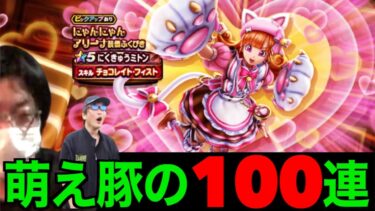 にくきゅうミトンにゃんにゃん萌え豚共が１００連したらにゃーん【ドラクエウォーク】【ドラゴンクエストウォーク】