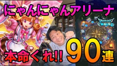 ドラクエウォーク621【アリーナから本命もらいたい！バレンタインにゃんにゃんガチャ90連！】