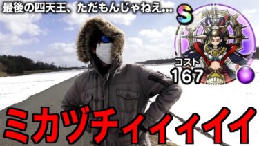 真冬の大寒波到来！凍死覚悟の迅雷天ミカヅチS出るまで帰れま10【ドラクエウォーク】【ドラゴンクエストウォーク】