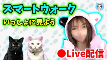 【ドラクエウォーク配信】スマートウォークいっしょに見よう！(仮) オラわくわくすっぞ！【ひなさんゲ。】